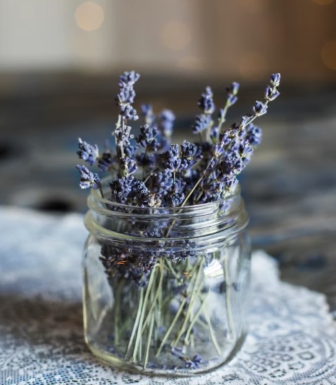 Lavande pour sommeil